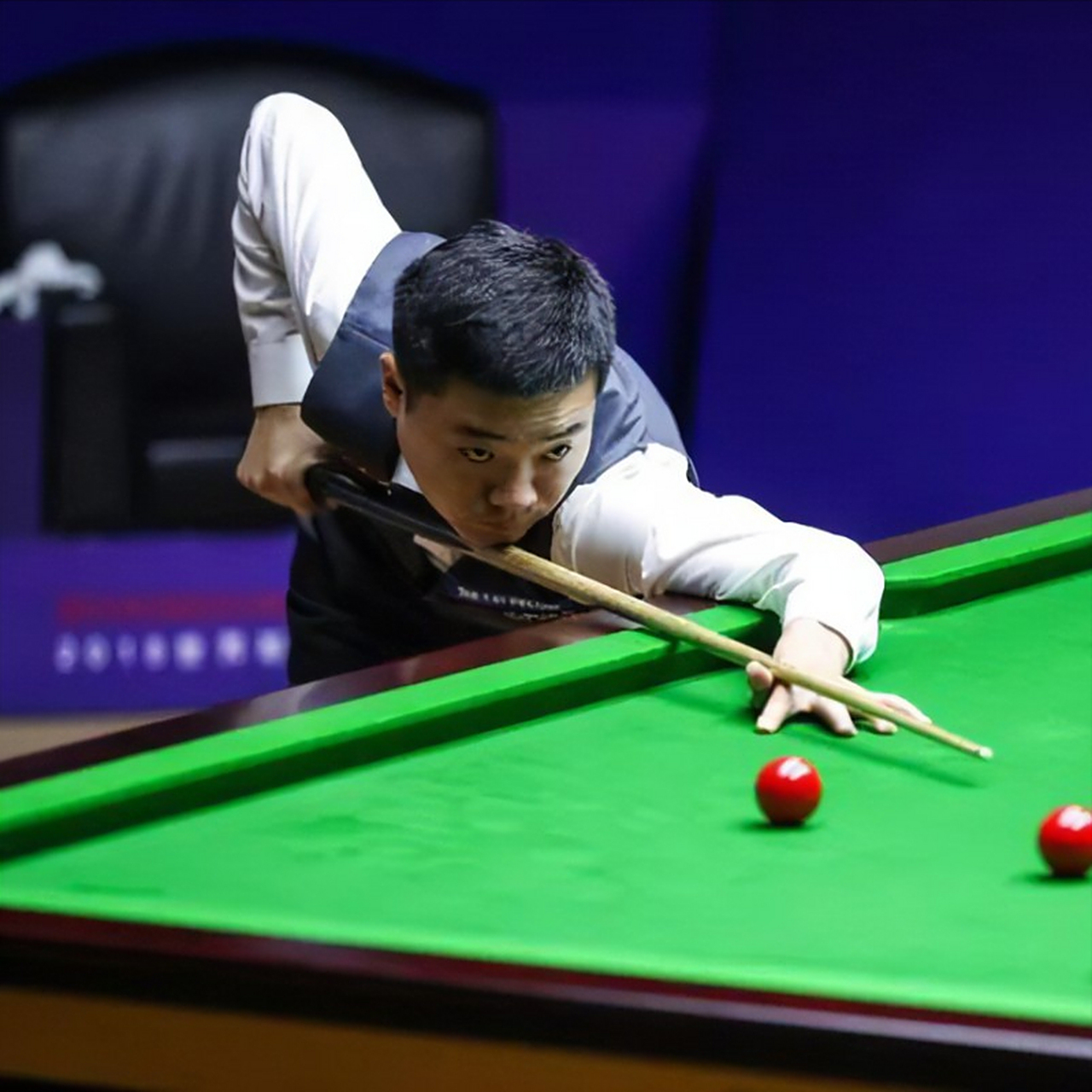 新不仅是中 新不仅是中