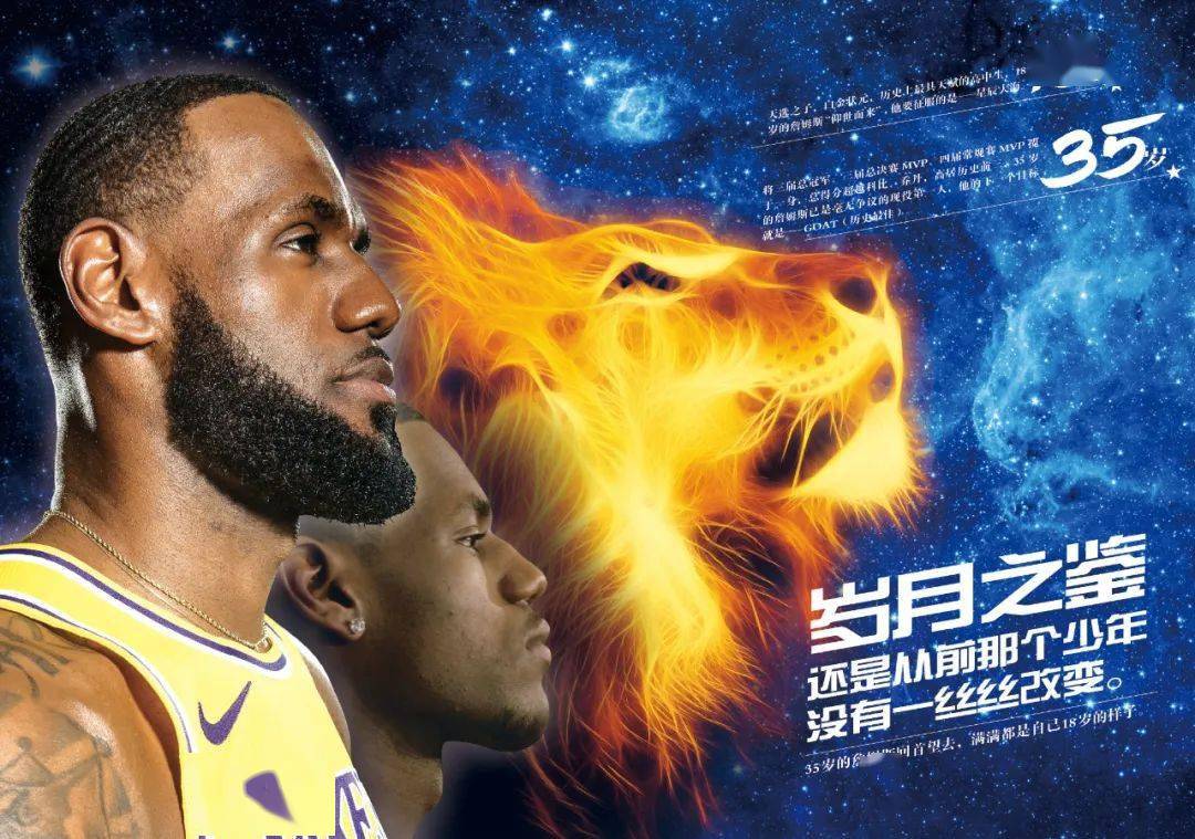 稳健 稳健